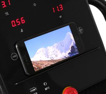 Беговая дорожка APPLEGATE T6 C