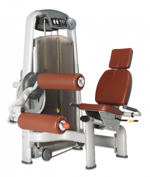 BRONZE GYM A9-013 Сгибание ног сидя