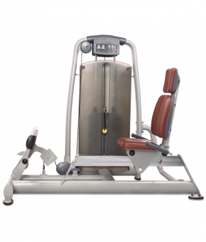 BRONZE GYM A9-017A Голень-машина