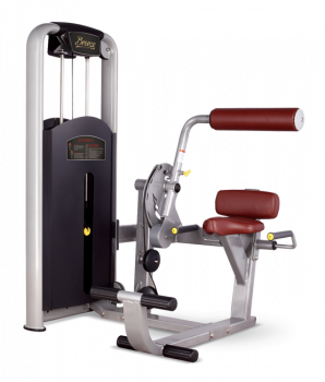 BRONZE GYM MV-009 Разгибание спины