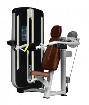 BRONZE GYM MNM-003A Дельта-машина