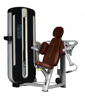 BRONZE GYM MNM-006 Бицепс-машина