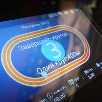 Беговая дорожка Svensson Body Labs PHYSIOLINE TBX TOUCH PROMO