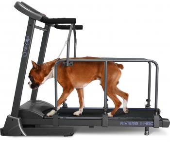 Беговая дорожка для собакOXYGEN LAGUNA II AL DOGGIE EDITION