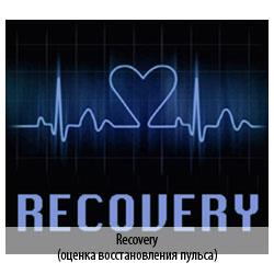 Велоэргометр Oxygen Nexus Guru RB HRC